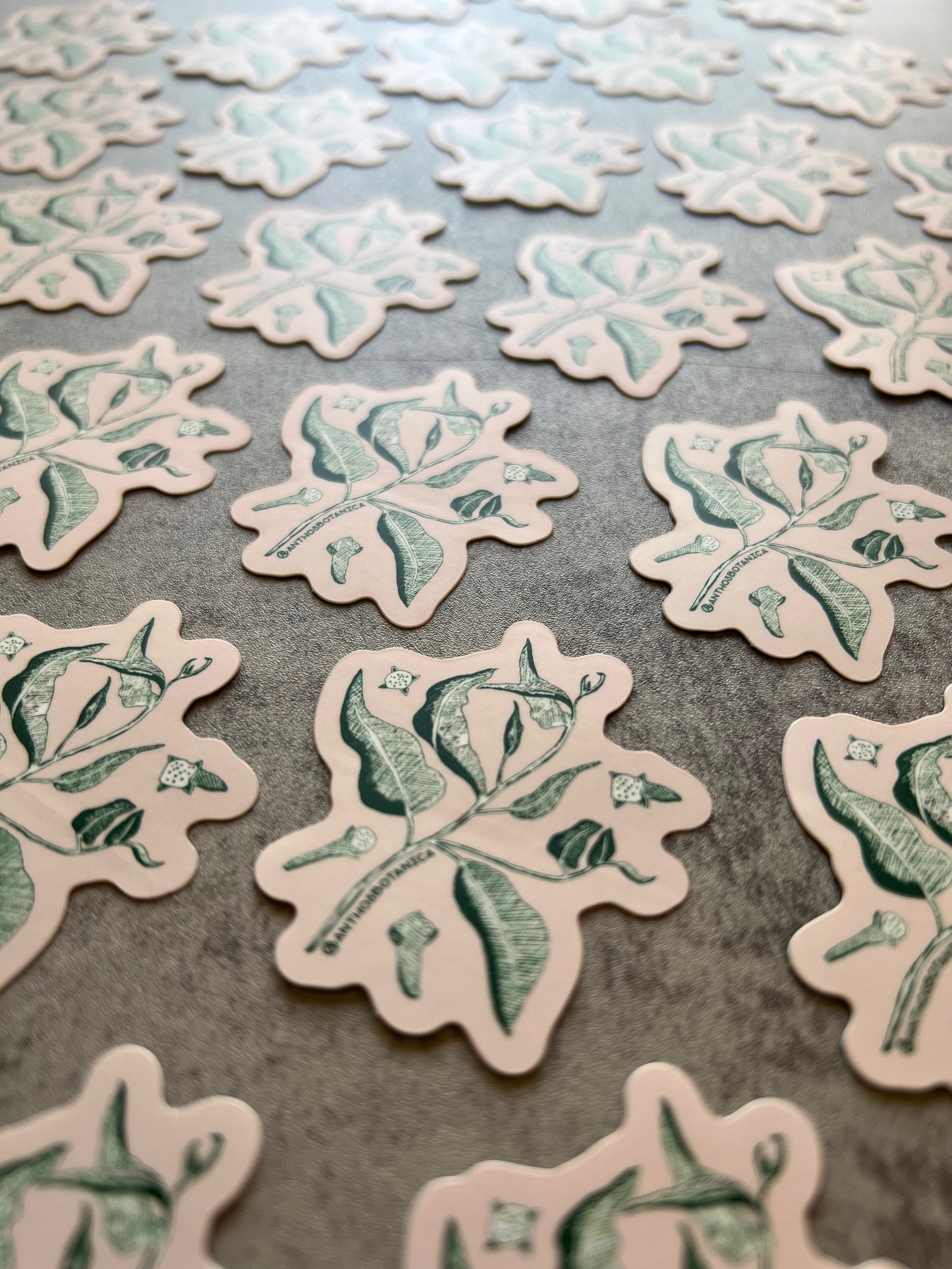 Sticker: Lemon Eucalyptus & Clove