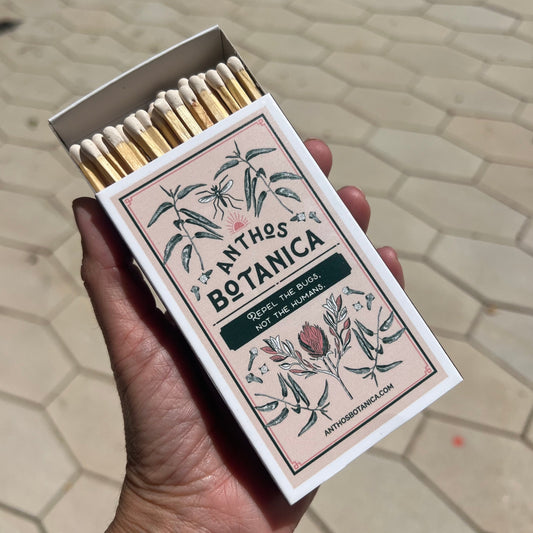 Hand holding a 4" Matchbox